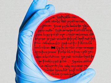 A hand, fitted with a latex glove, holding a petri dish filled with words in old english.