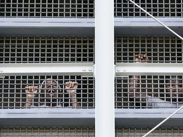 Prisoners call out to protesters and family members gathers outside the Metropolitan Detention Center, a federal prison where prisoners have been without heat, hot water, electricity