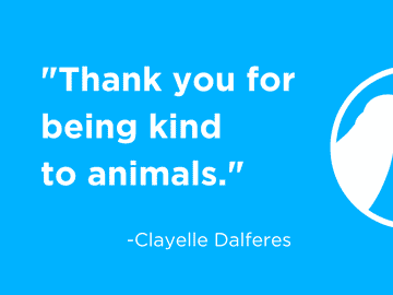 Clayelle Dalferes retirement announcement 