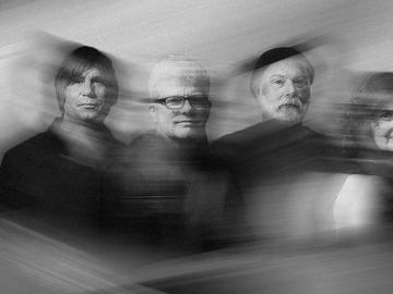 The New Pornographers