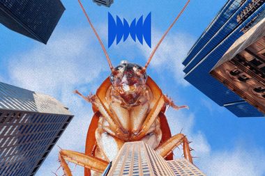 This American Roach