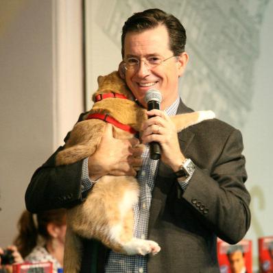 Hacks, Cats, & Colbert