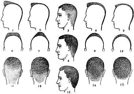 Splitting Hairs: A Hair Part Survey | Radiolab | WNYC Studios