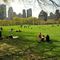 Spring in Central Park.