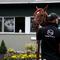I'll Have Another, taken out of his stable to go for a walk and pose for pictures at Belmont Race Track on the Wednesday before his Saturday race.