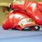 Boxing Gloves
