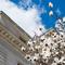 Spring blossoms bloom in front of Essex County Courthouse in Newark, NJ. Springtime, flowers, New Jersey, government