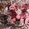 Two Beanie Babies in a cherry tree in Ueno Park, Japan