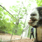 One of the eight goats in Prospect Park that will be used to eat invasive species in the northeast corner of the park.