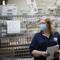 Cages loaded with ballots in United Postal Service bins rest behind a worker at a Board of Elections facility in New York Wednesday, July, 22, 2020. 