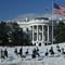 A gaggle of Canada geese are seen on the South Lawn of the White House in Washington, DC, on February 11, 2026.