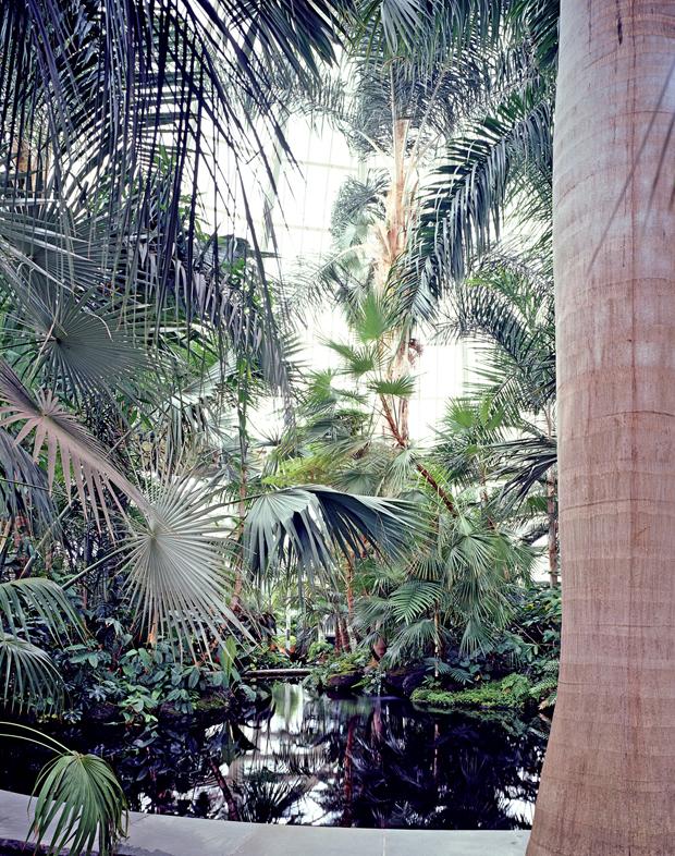 A Garden Grows in the Bronx The New York Botanical Garden, From