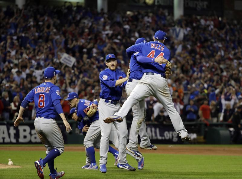 Chicago Cubs World Series Champions MLB Official India