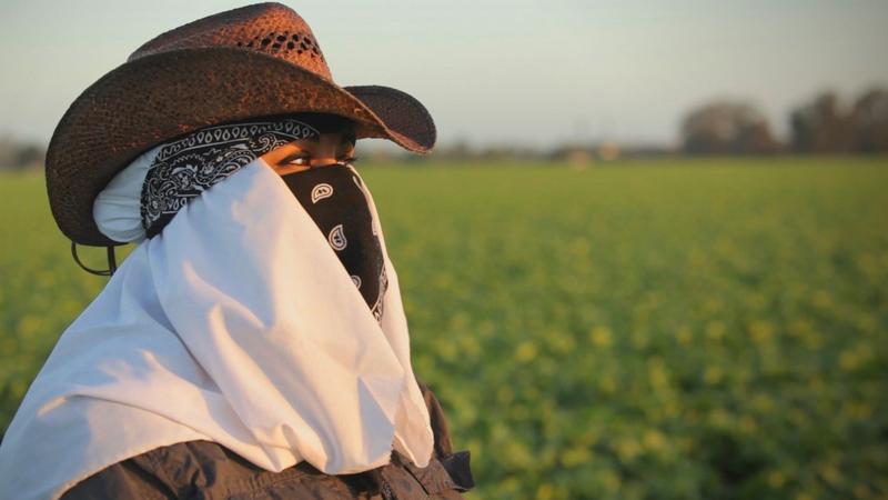 From Frontline's "Rape in the Fields"
