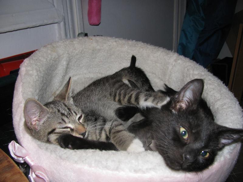 Arthur and August