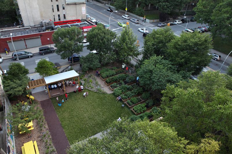 Willis Ave community garden 