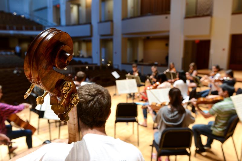 National Orchestral Institute, University of Maryland School of Music