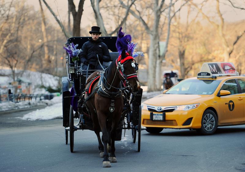 A vote to raise wages for the New York City Council comes on the same day as a controversial vote over horse carriages. Does this create a conflict?