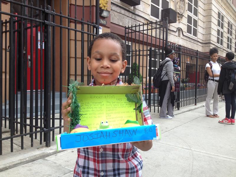 June is a time for end-of-year projects and presentations at P.S. 138 in Crown Heights. Josiah Shaw, a kindergartener, shows off his diorama on hibernating animals.