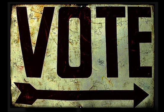 Business Studies Essays One Vote Ip Writing Services also A Modest Proposal Essay Topics One Vote Radiolab Wnyc Studios School Projects Online