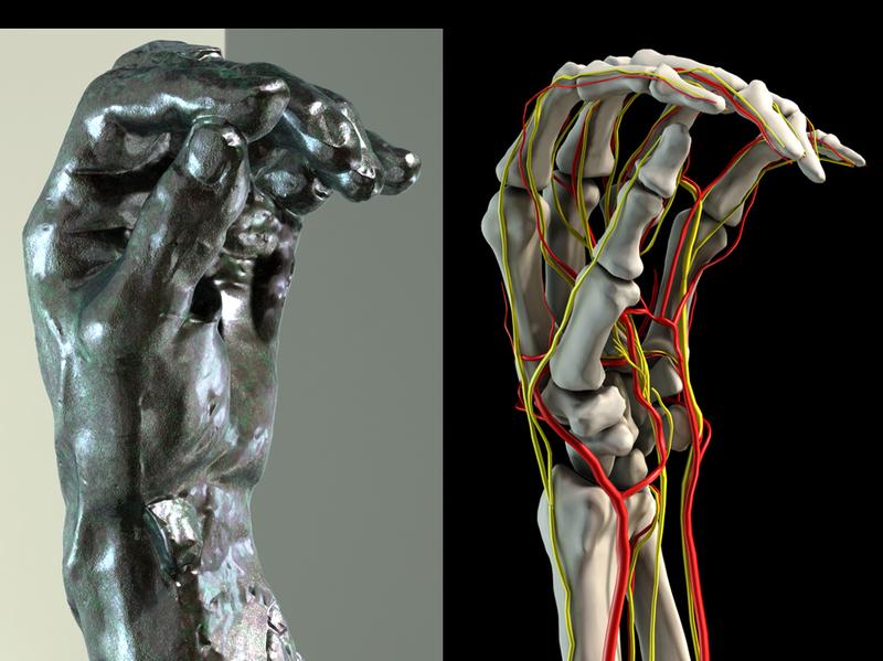 Rodin's Hands