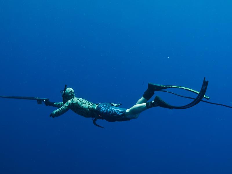 The antenna trailing off the diver's foot is there to ward off sharks by creating an electromagnetic field that sharks are sensitive to. Unlike fish snagged with the diver's spear gun, sharks warded off by the Shark Shield remain unharmed.