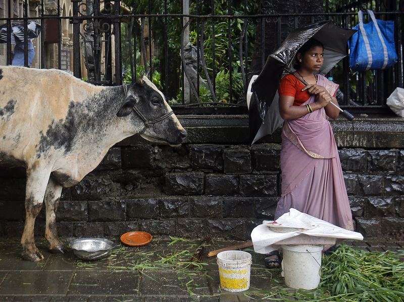 A streetside vendor stands on the pavement next to her cow as it rains in Mumbai, India.