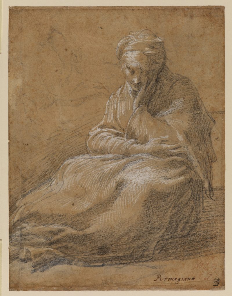 Parmigianino (1503–1540). Woman Seated on the Ground, c. 1523–24. Black chalk and white gouache on light brown tinted paper 9 x 6.9 inches