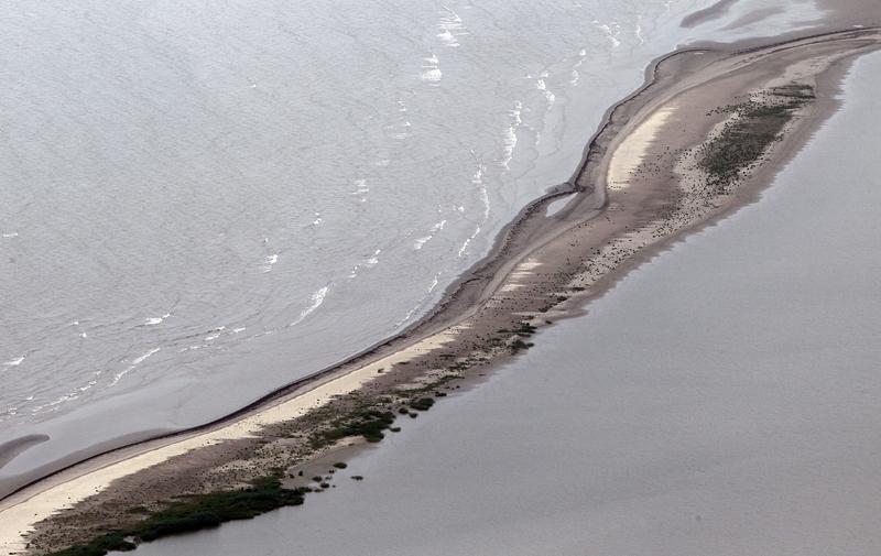 A beach is seen near the source of the BP Deepwater Horizon oil spill on July 18, 2010 in the Gulf of Mexico off the coast of Louisiana. 