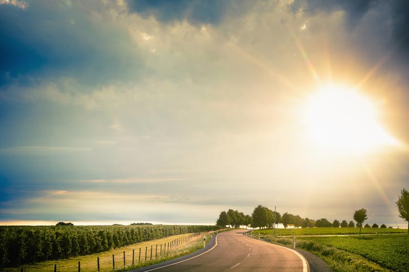 A sunny afternoon drive.