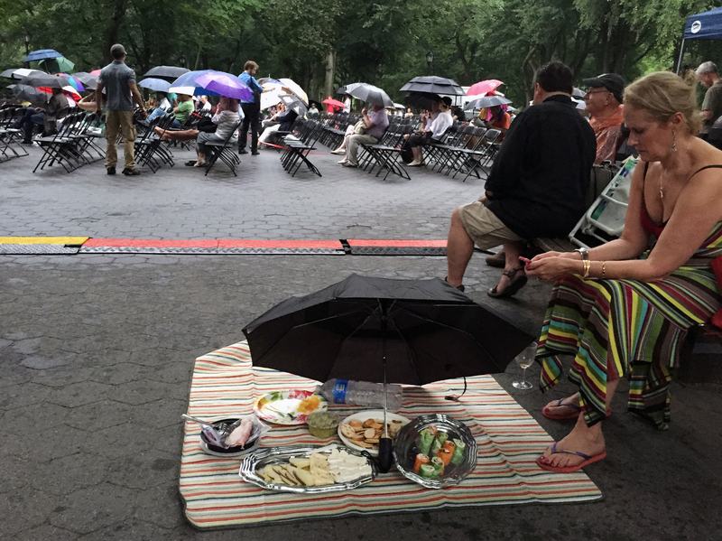 A woman waits out the rain — and protects the snacks — at the Naumburg Bandshell on June 23, 2015.