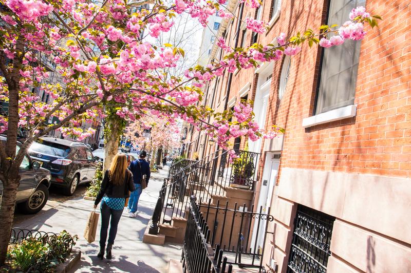 Pedestrians walk under blooming tree branches in SOHO.