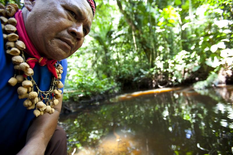 Cofan Indigenous leader Emergildo Criollo looks over an oil contaminated river hear his home in the Amazon rainforest.