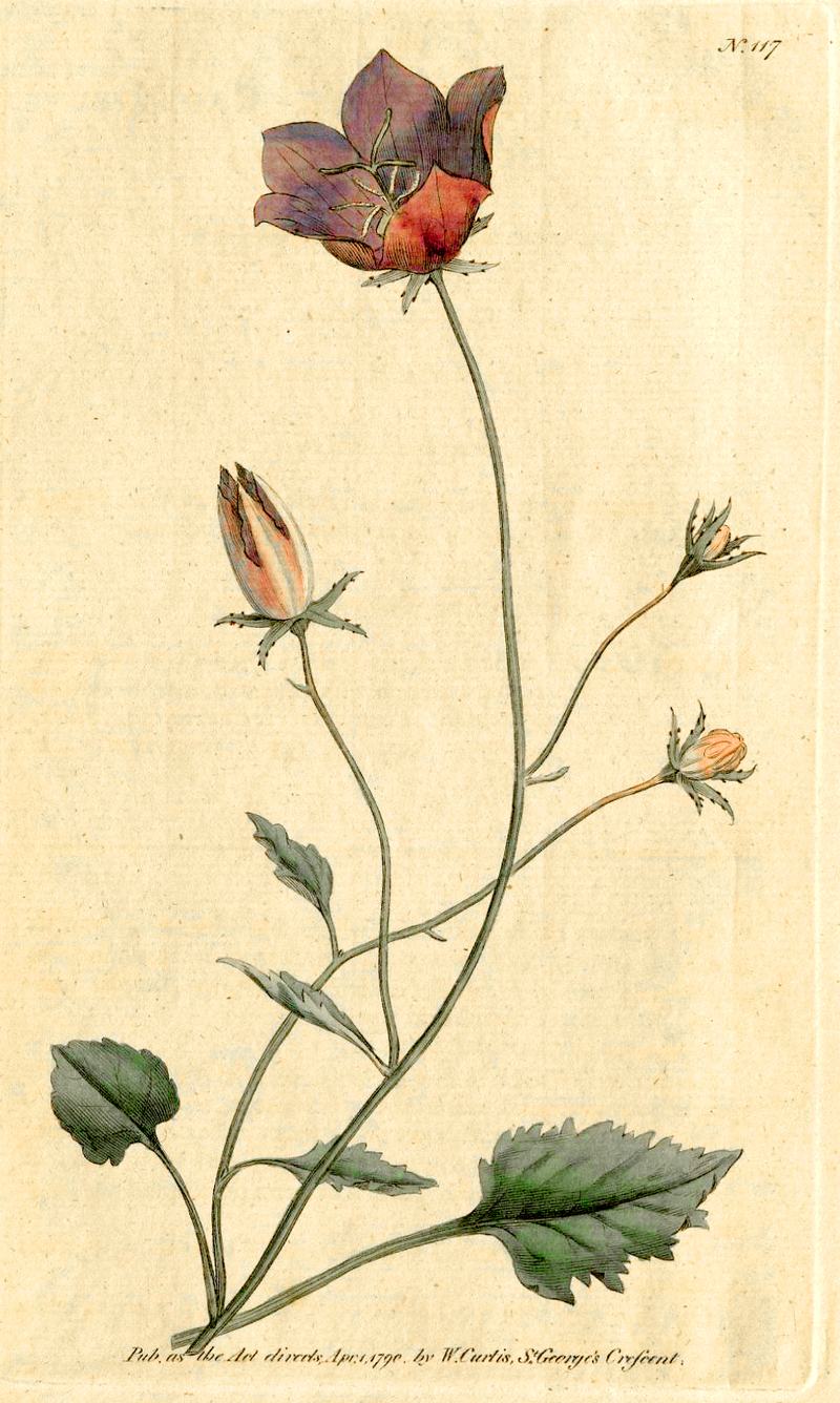 Life is for Living | The NYPR Archive Collections | WNYC, image size:800x1336