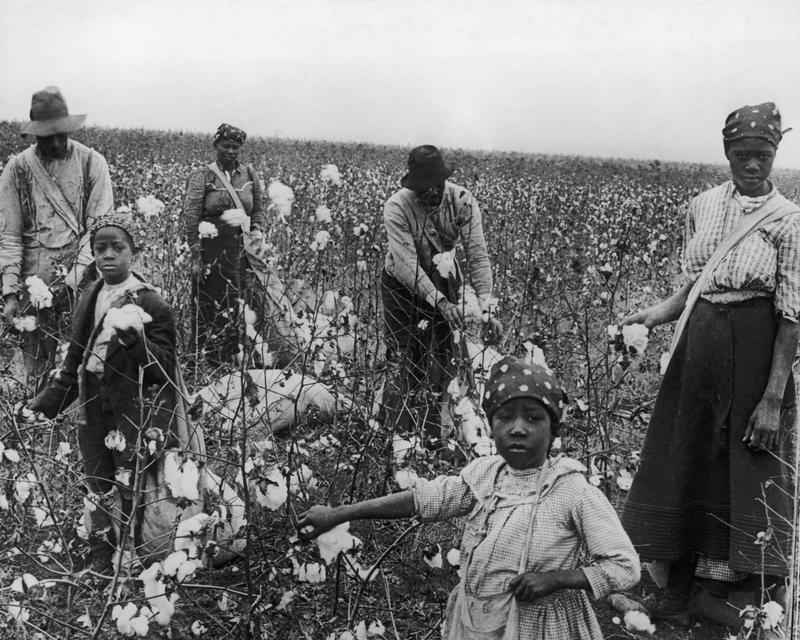 Cotton-pickers at work, Texas, circa 1925.