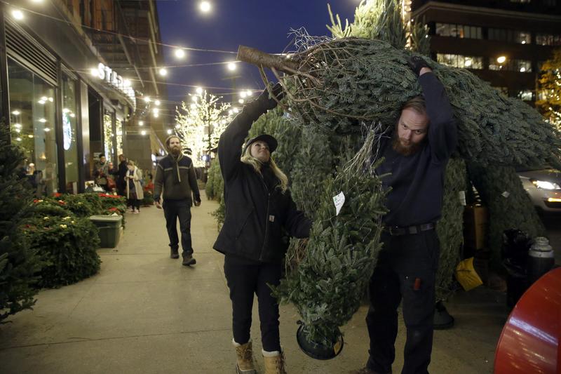 New Yorkers carry home Christmas trees.
