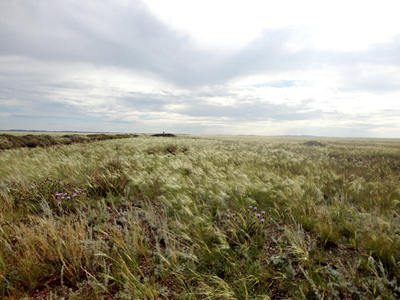 A crumbling test structure stands near the horizon at the Soviet-era Semipalatinsk Nuclear Test Site on Aug. 8, 2013, outside Kurchatov, Kazakhstan. 