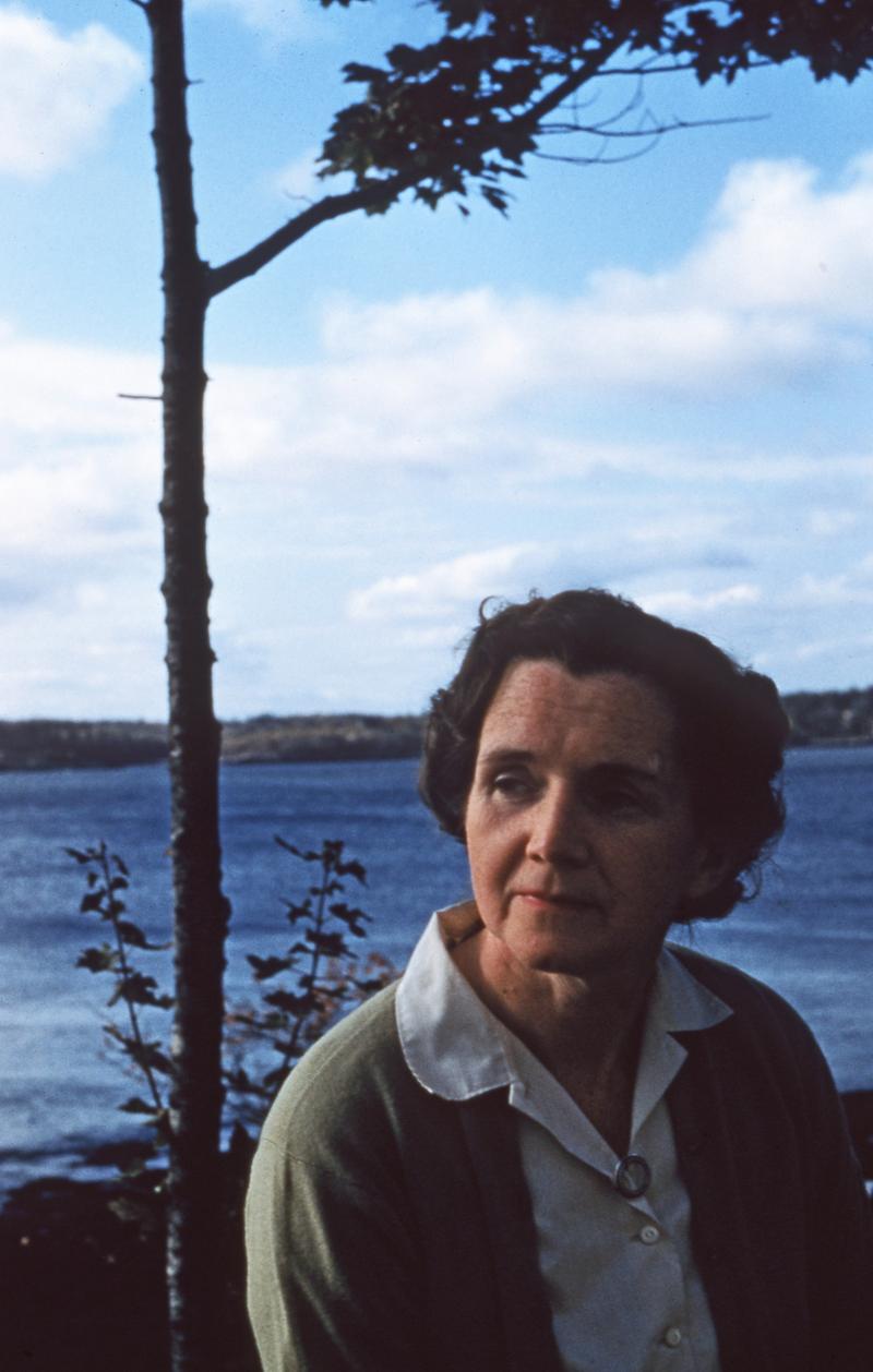 Rachel Carson on her porch in Southport, Maine (1955). 