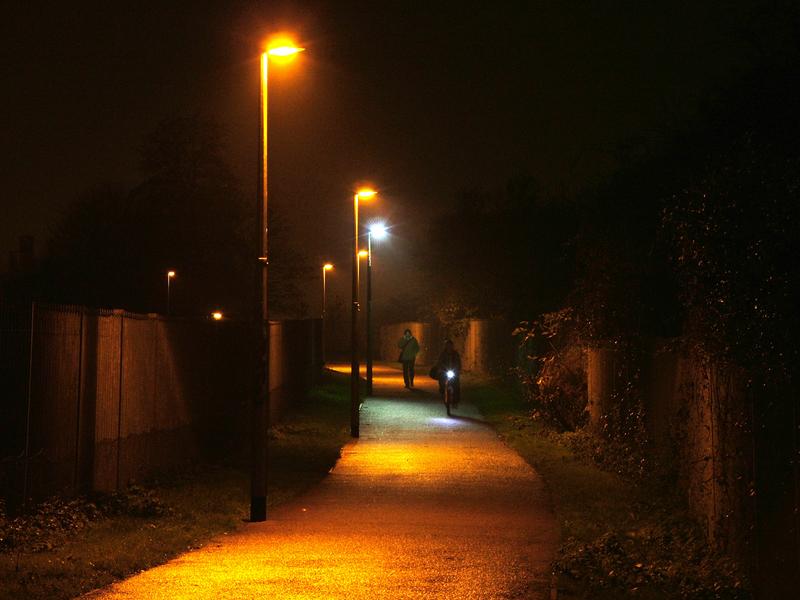 Street Light Shining on Dark Forest Road 2K wallpaper download