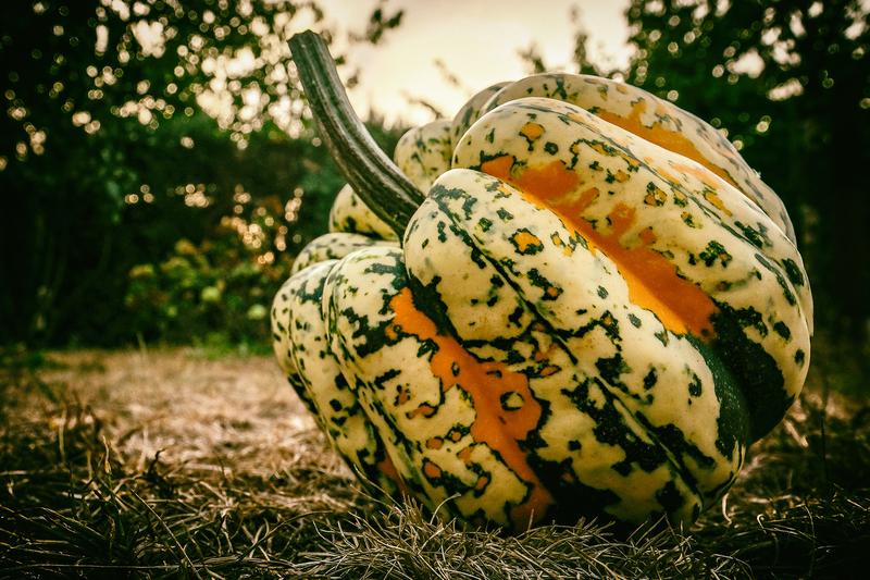 Once you've your most Autumnal victuals laid before you, what to do about the music?