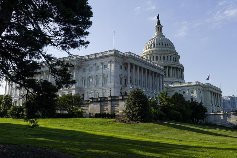The U.S. Senate and Capitol are seen between trees on Capitol Hill, Saturday, May 25, 2019 in Washington.