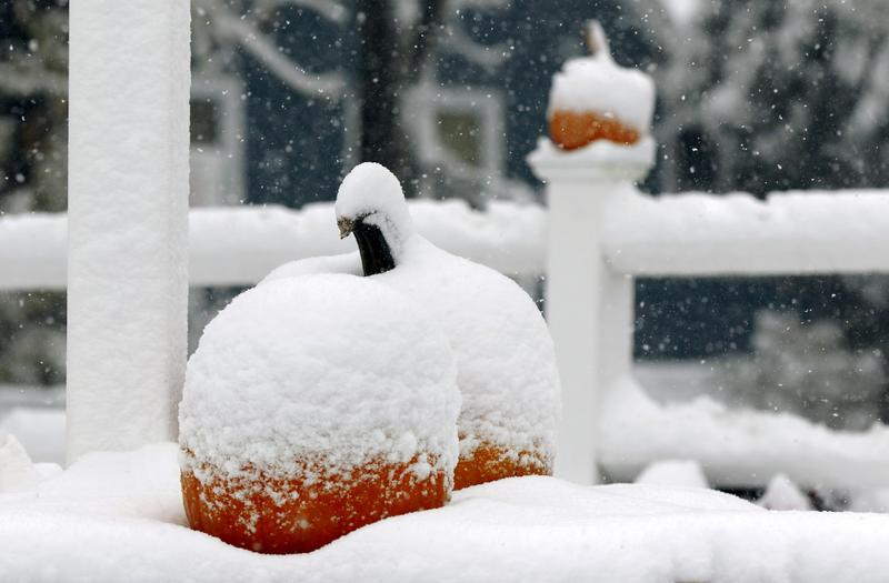Snow covers pumpkins for sale at Trombetta's Farm during the season's first snowfall, Friday, Oct. 30, 2020, in Marlborough, Mass.