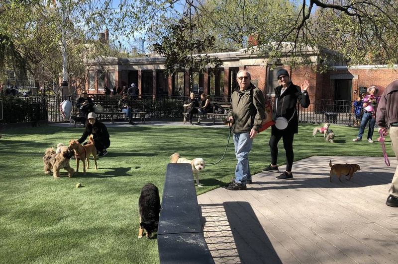 Washington square best sale dog run