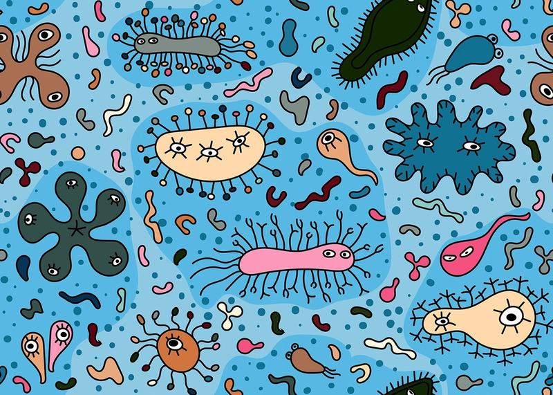 https://media.wnyc.org/i/800/0/l/85/2022/06/ocean-pathogens-illustration.jpeg