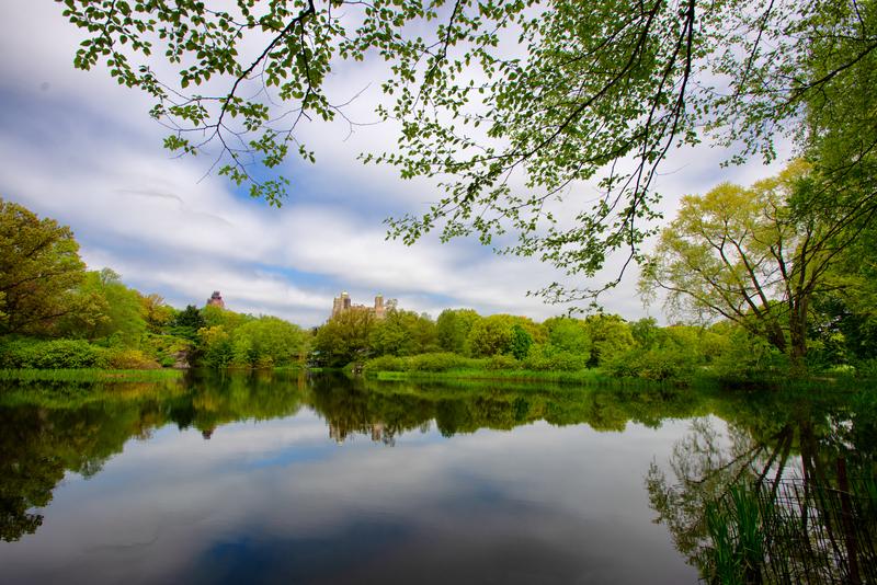 Central Park