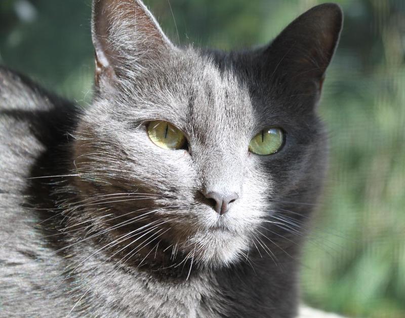 Willy listens from Florida in sunshine and shade!