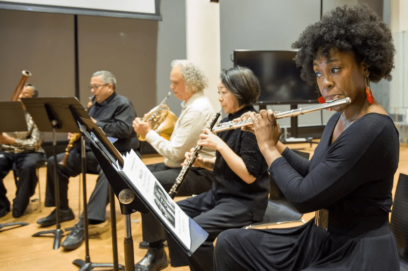 The Harlem Chamber Players