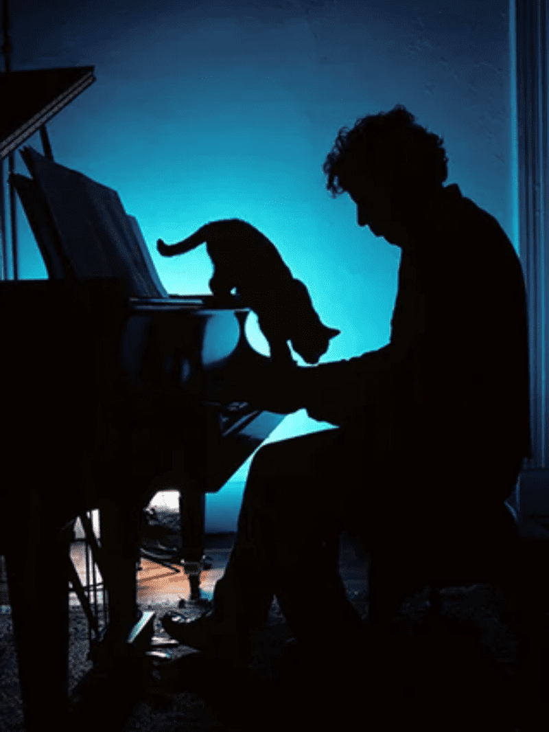 Philip Glass playing piano accompanied by a feline friend.