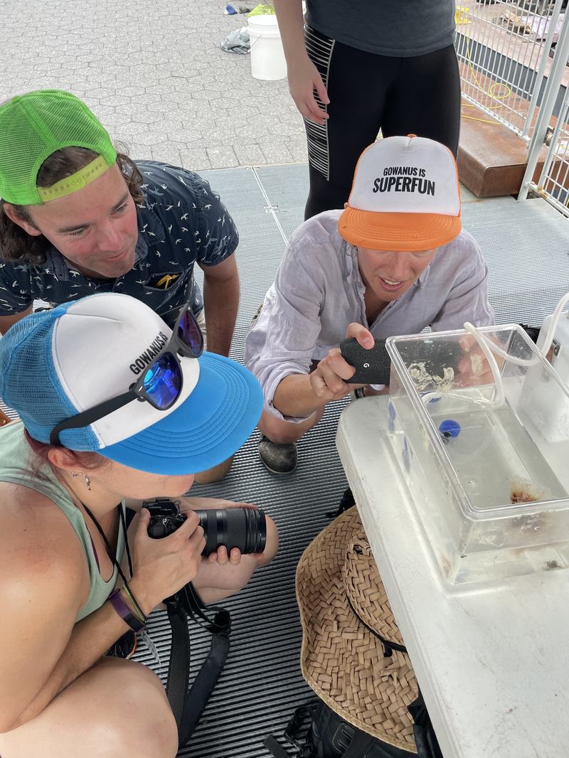 Members of the Gowanus Dredgers checking out a jellyfish caught swimming in the canal.