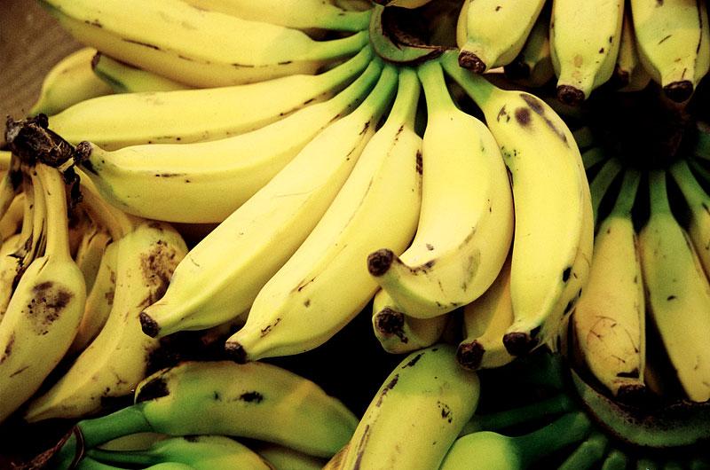 Will the Cavendish Banana Go Extinct? The Leonard Lopate Show WNYC